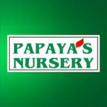 Pappya Nursery